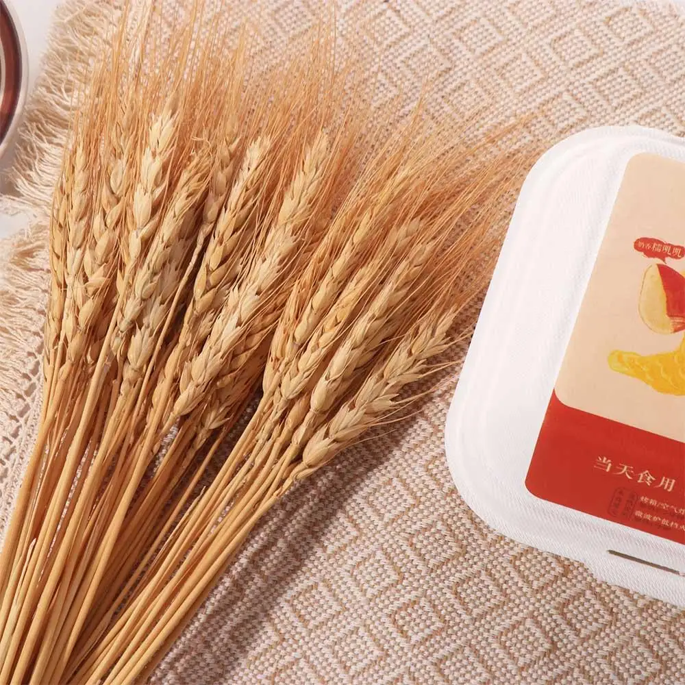 50 szt. Sztuczne kwiaty, natur – Wedding Ceremony Supply recenzja i cena